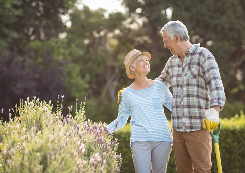 A couple adjusting to retiring with hobbies