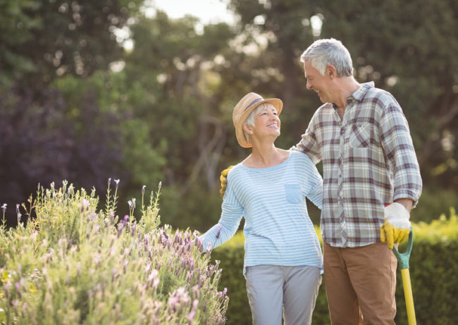 adjusting-to-retirement A couple adjusting to retiring with hobbies